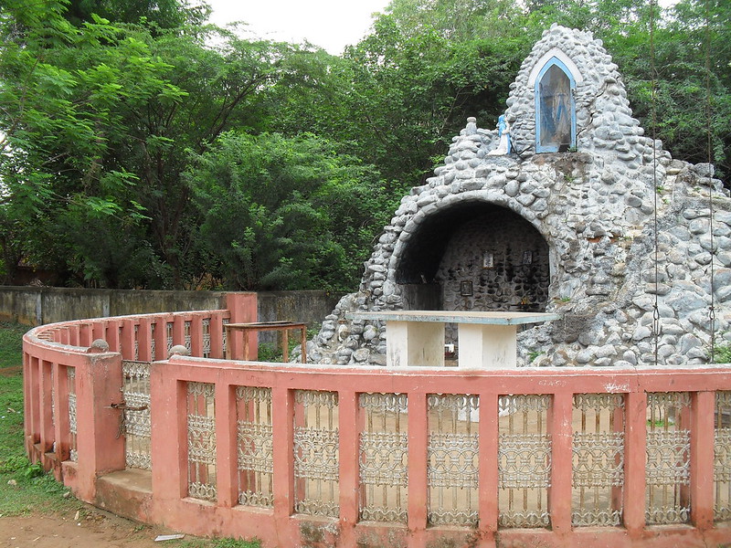 Image 5